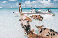 Excursiones opcionales en Nassau