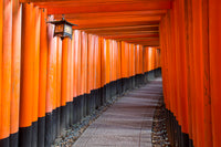 Santuario Fushimi Inari