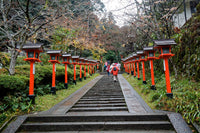Templo dorado Kinkaku-ji