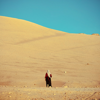 Desierto Blanco