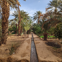 Hassi Labied