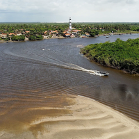 Mandacaru