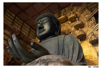 Visita al Templo Todai-ji