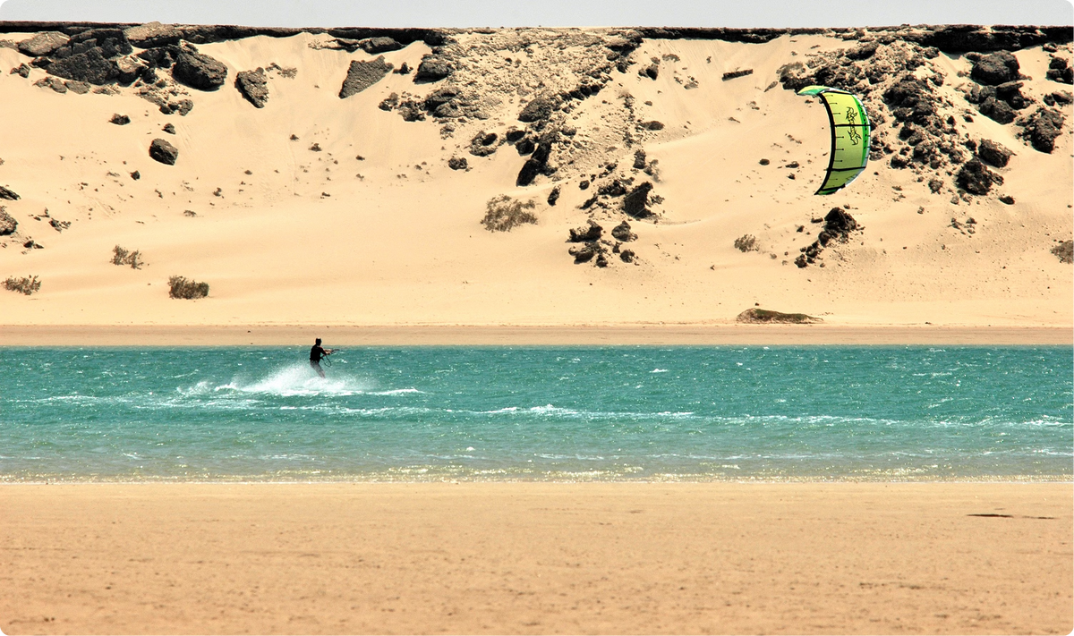 Safari por el desierto