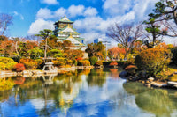Visita al Castillo de Osaka