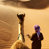 Paseo en dromedario por Erg Chebbi