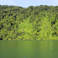 Paseo en lancha por Río Dulce