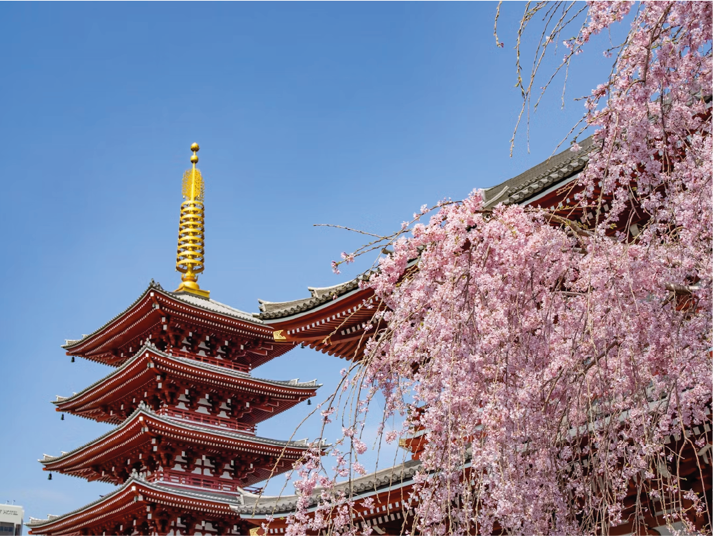 Yokoso Japón Primavera 2027