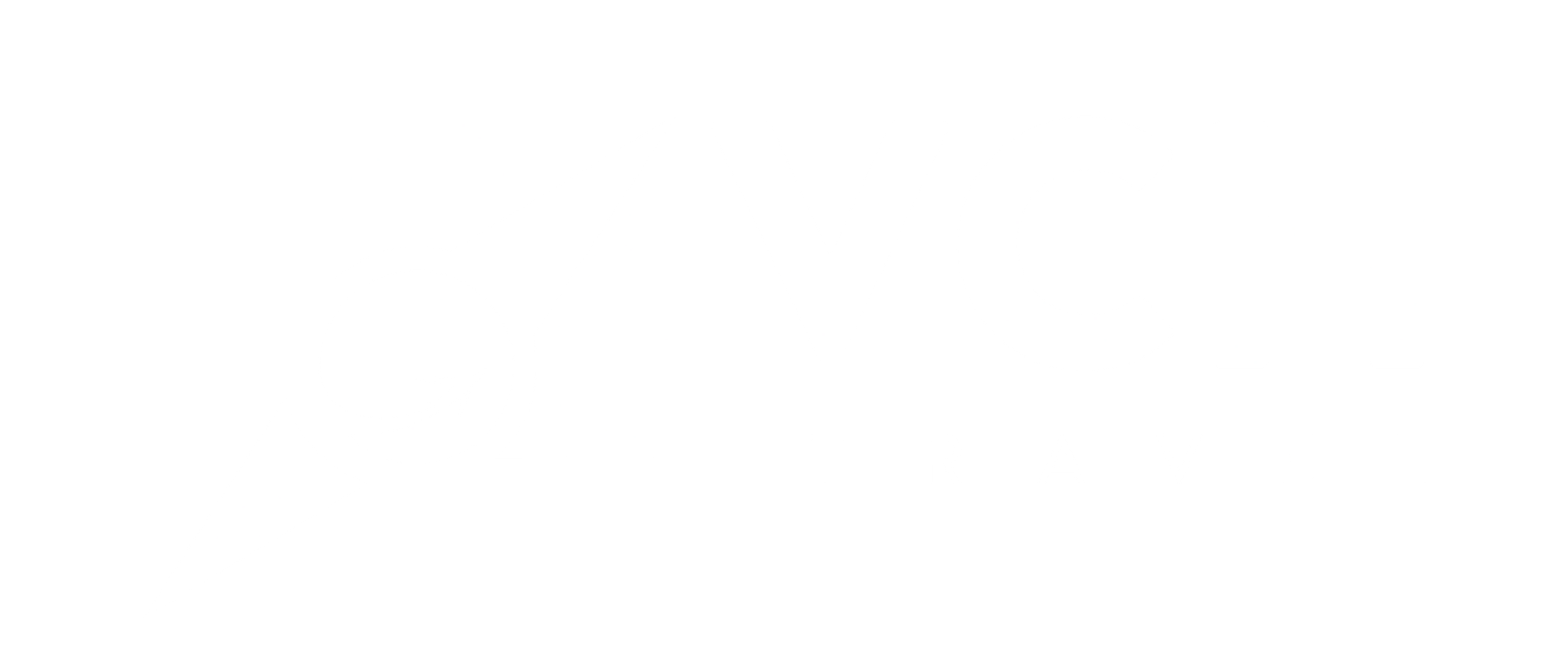 VCH TRAVEL