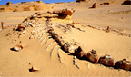 Egipto de Norte a Sur