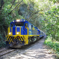 Viaje en tren a Machu Picchu