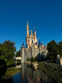 Visita a Magic Kingdom