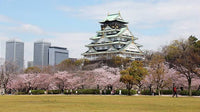 Castillo de Osaka