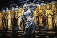 Visita al Templo Sanjusangendo