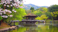 Parque de Nara
